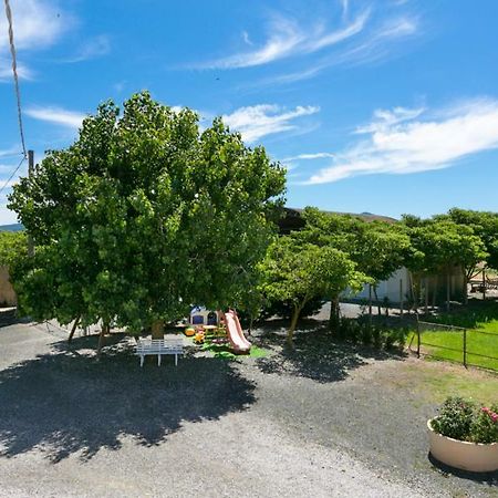 קסטלינה מריטימה Agriturismo Case Nuove מראה חיצוני תמונה